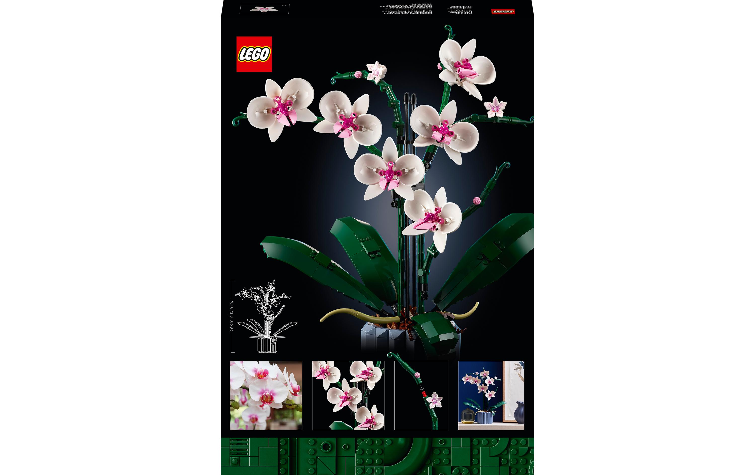 Icons Botanicals Collection: Orchidee 10311Individuell gestaltbares Modell
