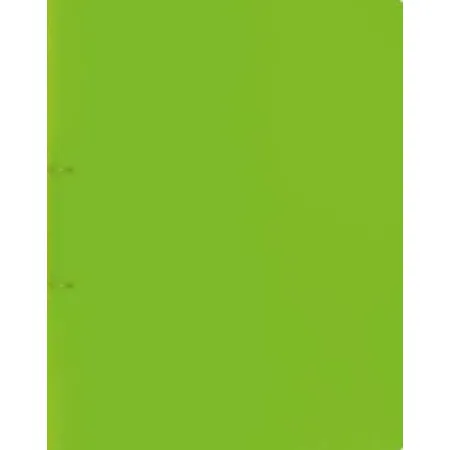 BRUNNEN Ringbuch FACT!pp, kiwi, A4