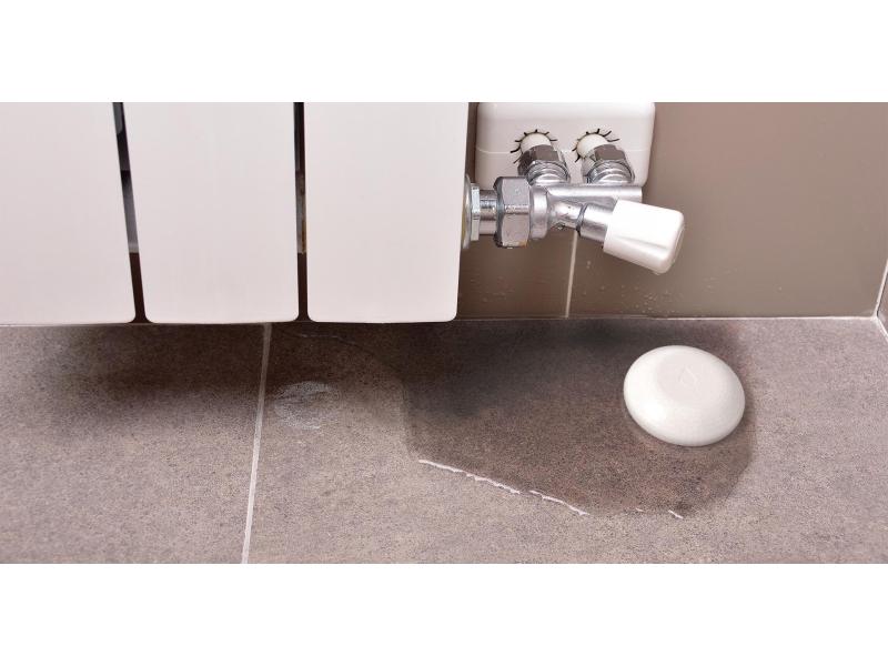 Shelly Flood WiFi-Flood & Temperatur Sensor WLAN Wassersensor, Temperatursensor