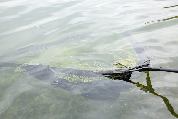 Tête d'épuisette Ultimate Full Float Carp Net Camo 42