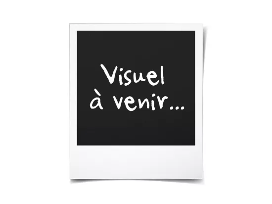 Tapis de Salon Fourrure 
