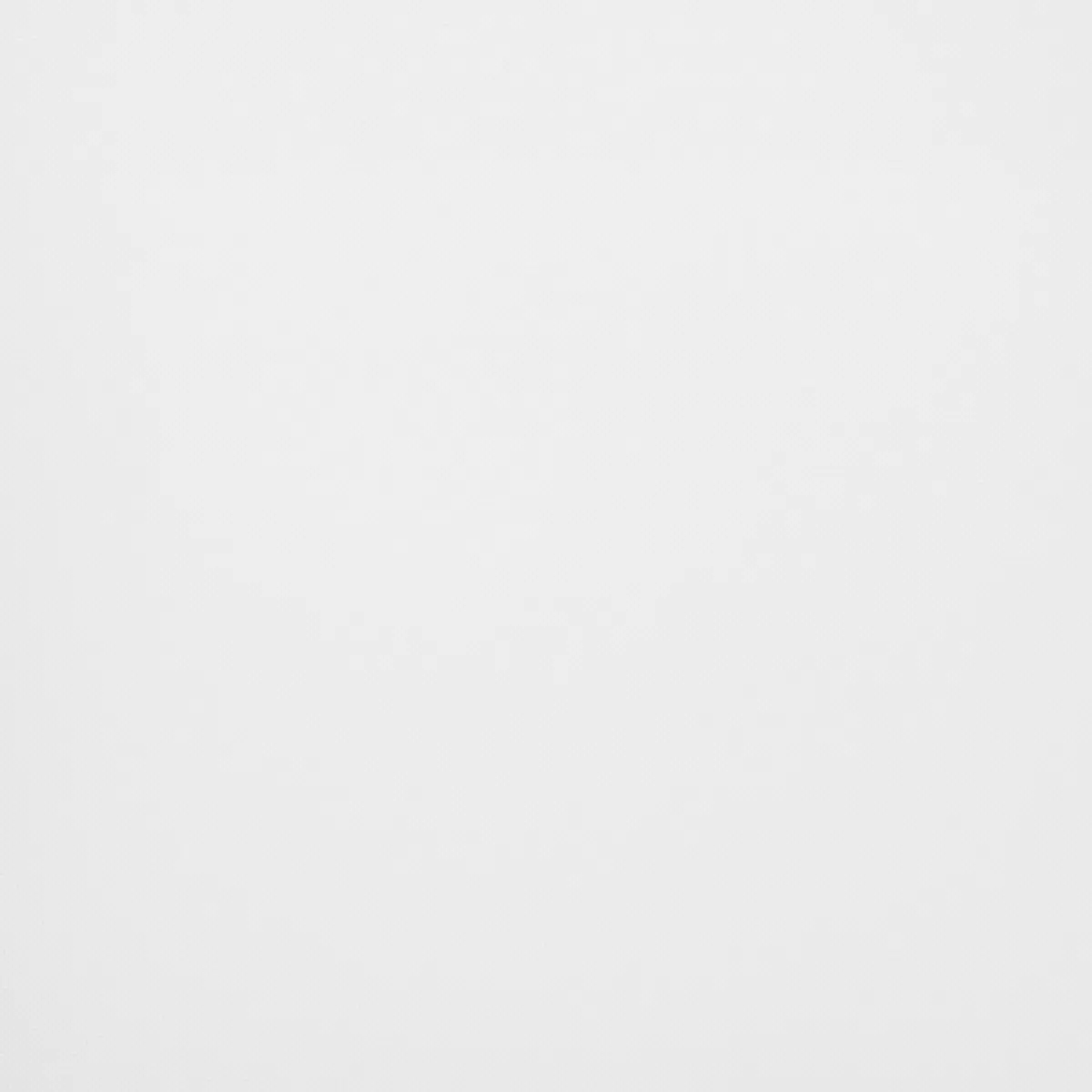 Tagvorhang Voile weiss