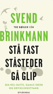 Stå Fast, Ståsteder Og Gå Glip - Svend Brinkmann - Bog