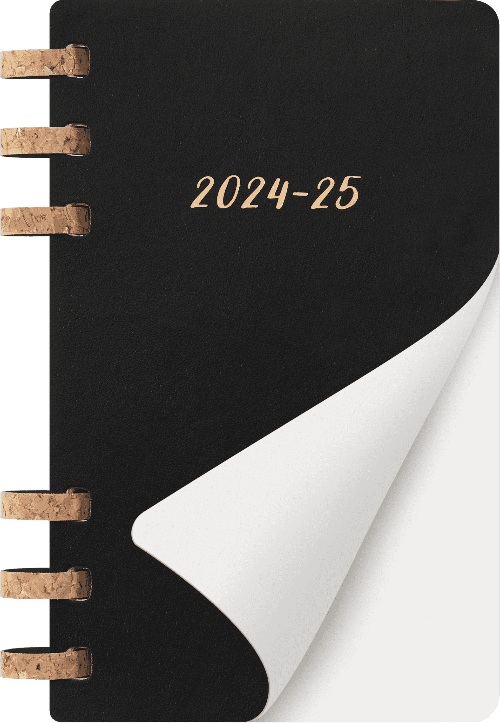 Student Life Planner 2024/2025 12-Month, Spiral