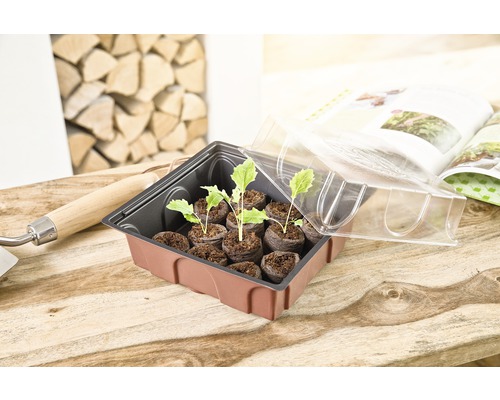 FloraSelf binnenkas, vensterbankkas 20x19x11 cm, inclusief 12 turfkorrels en koepel