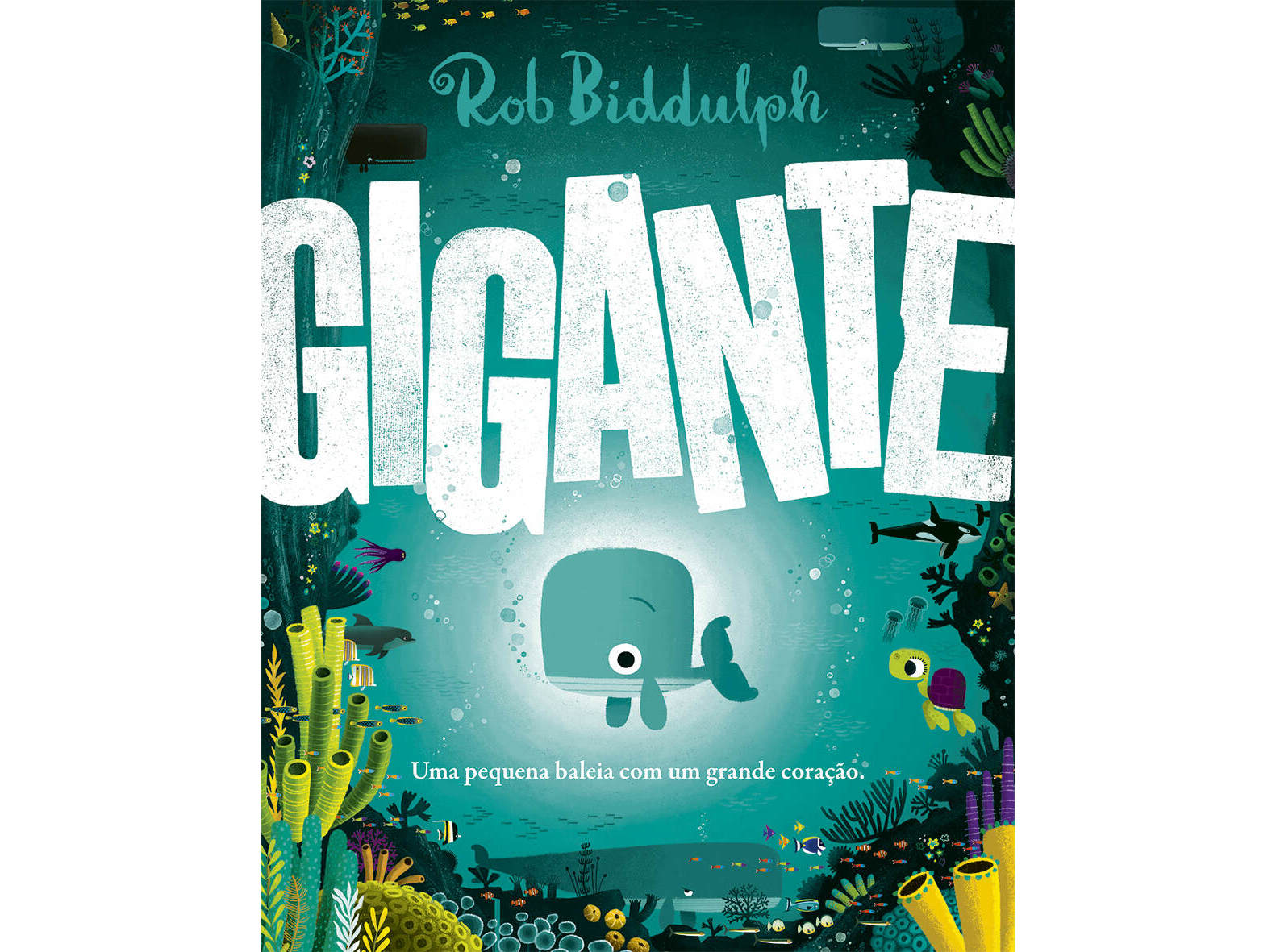 LIVRO GIGANTE DE ROB BIDDULPH