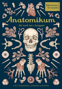 Anatomikum: bli med inn i kroppen