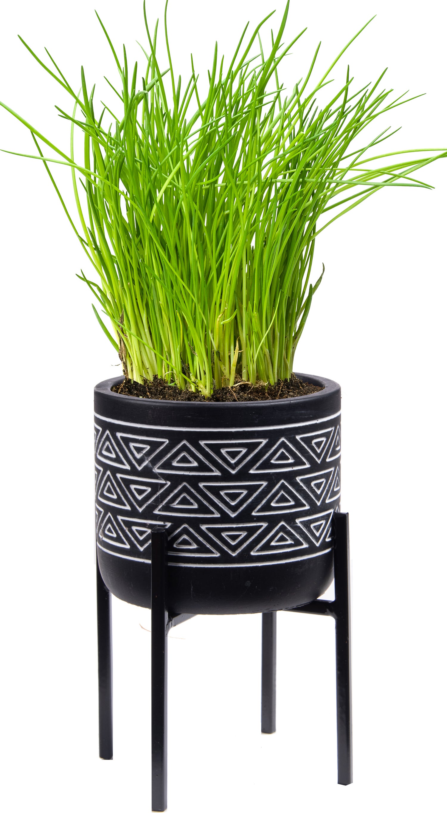 Florex kruidenset pot op poten Bieslook (Allium schoenoprasum)