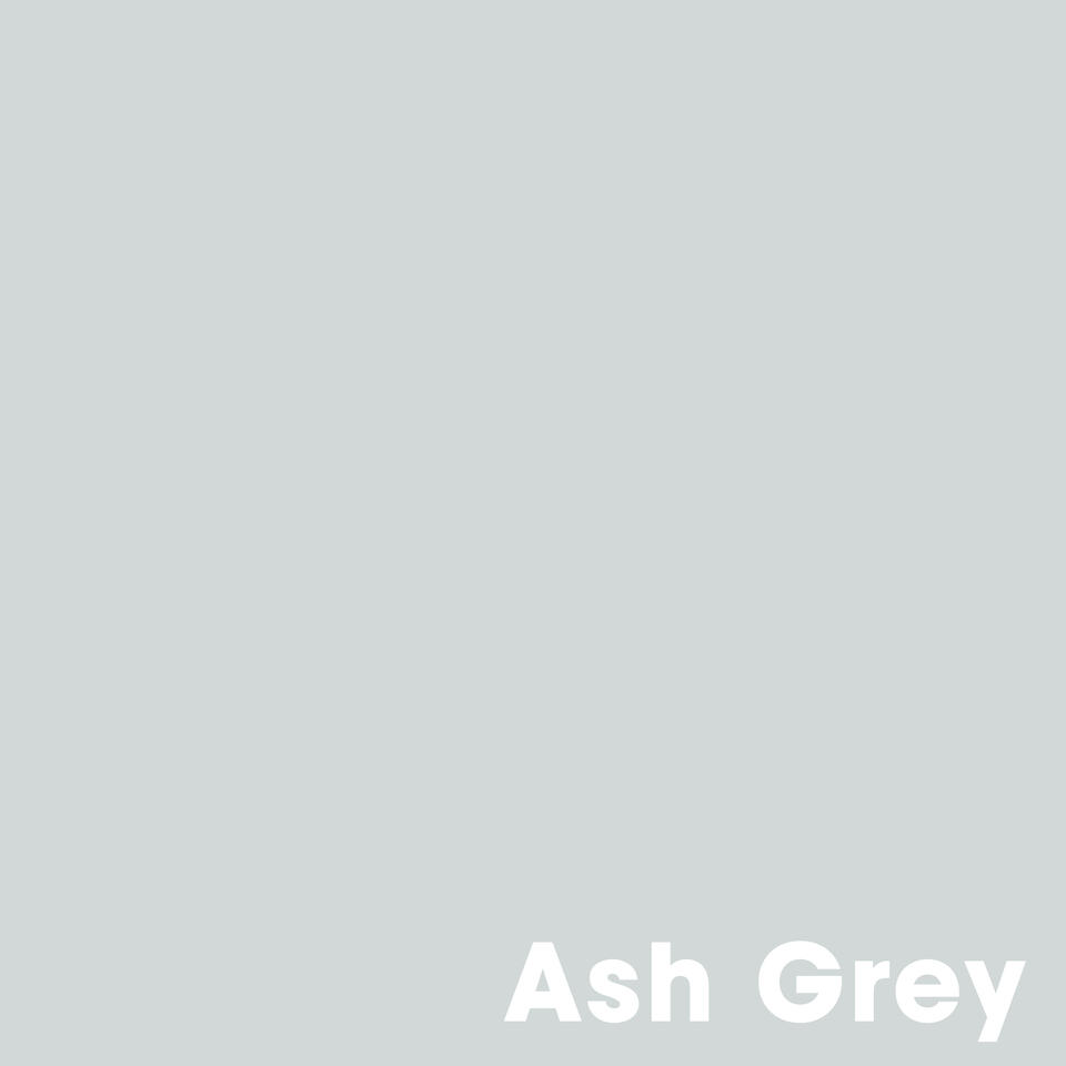 Muurverf Professional Ash Grey 1 l