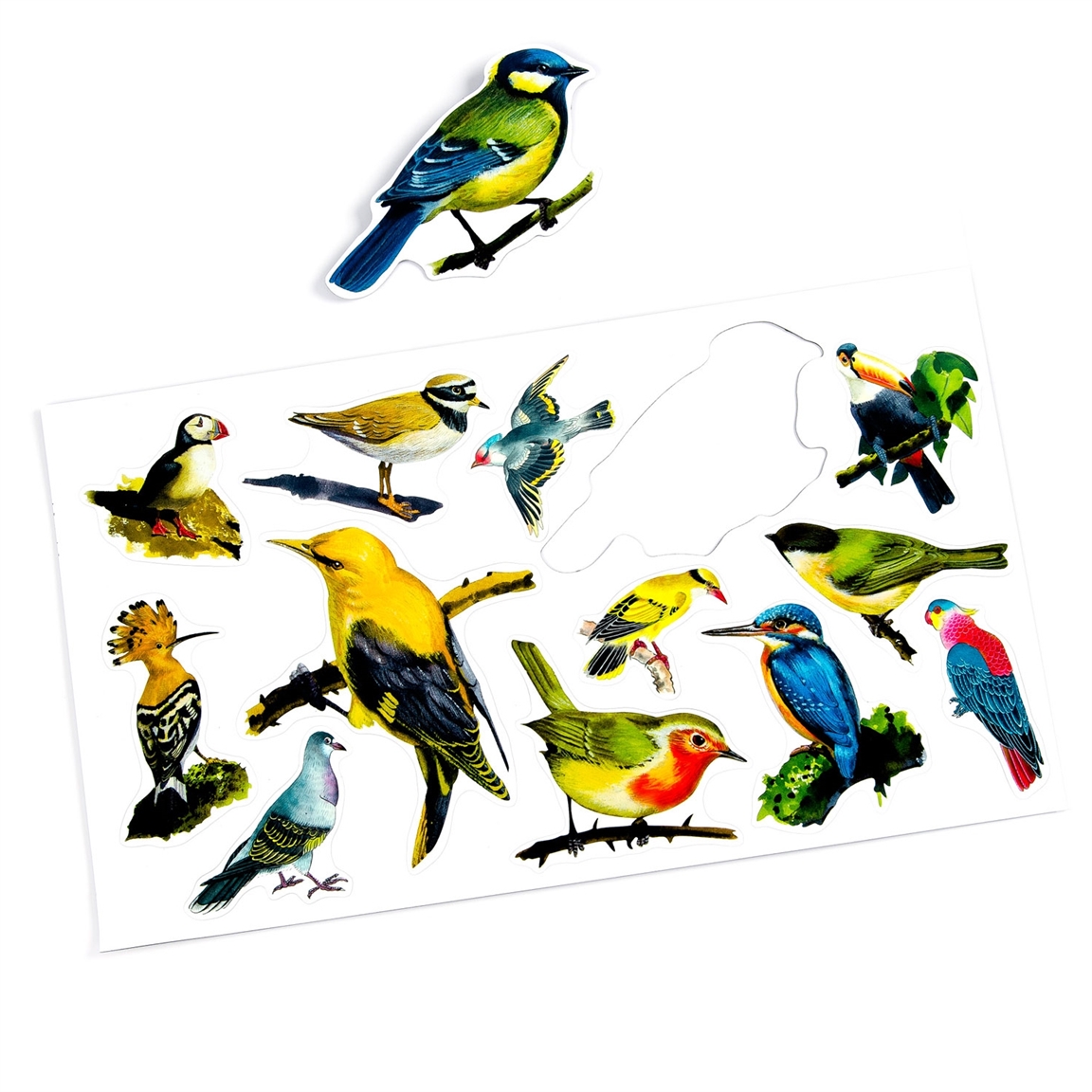 Magnets oiseaux