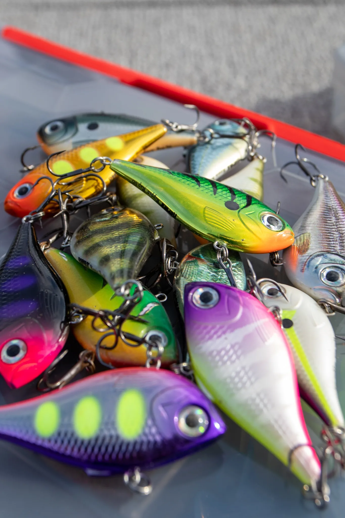 Rapala Rippin Rap
