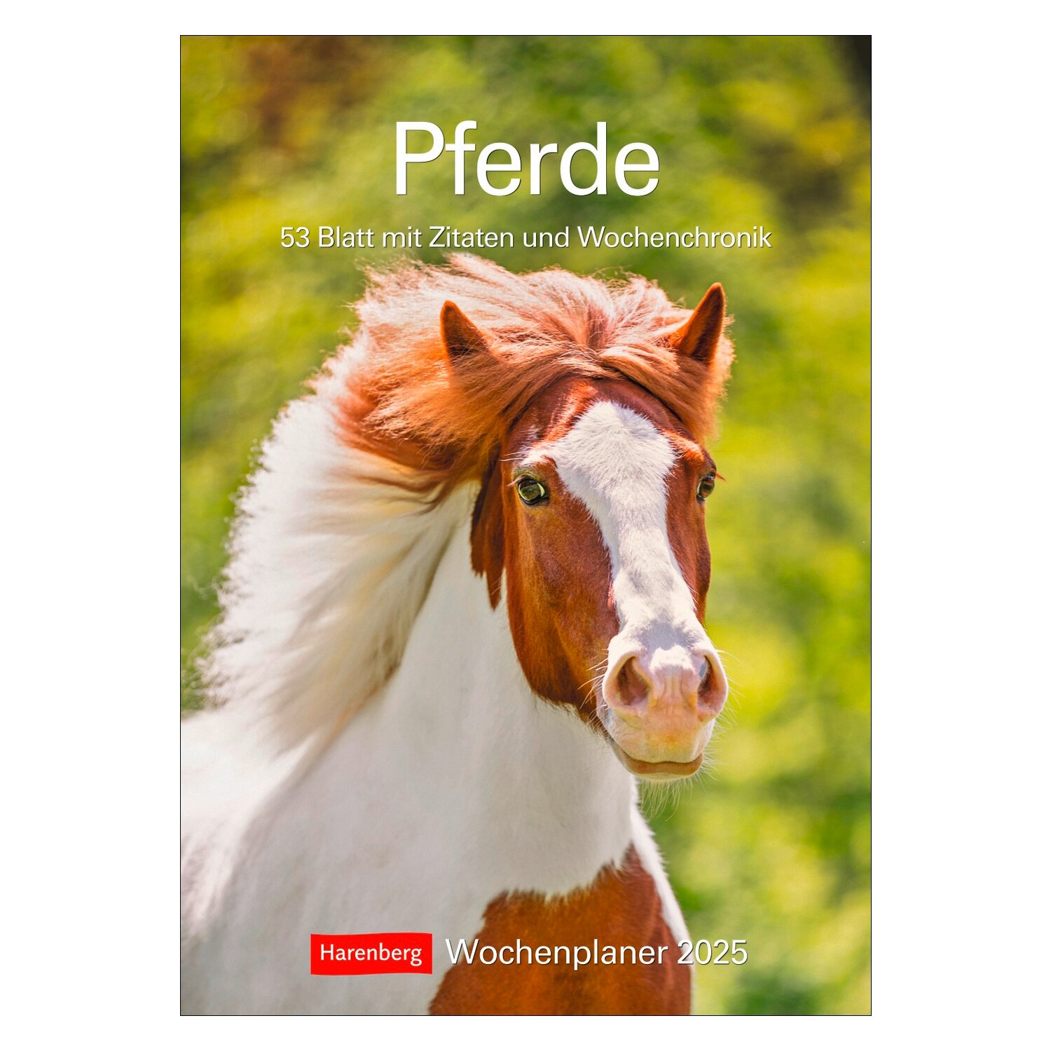 Wochenplaner Pferde 2025