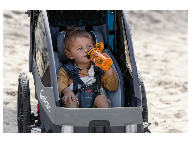 Kinderwagen Sportrex 2 Limited Edition