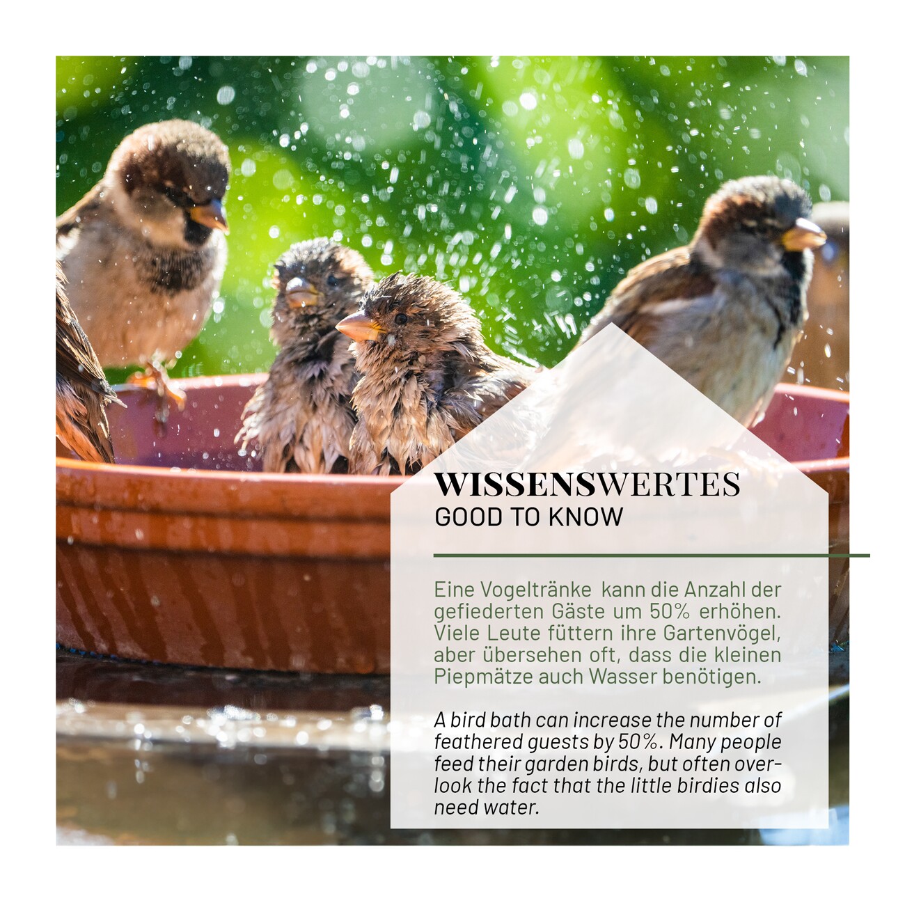 WILDLIFE HOME Vogeltränke mit Wandhalterung