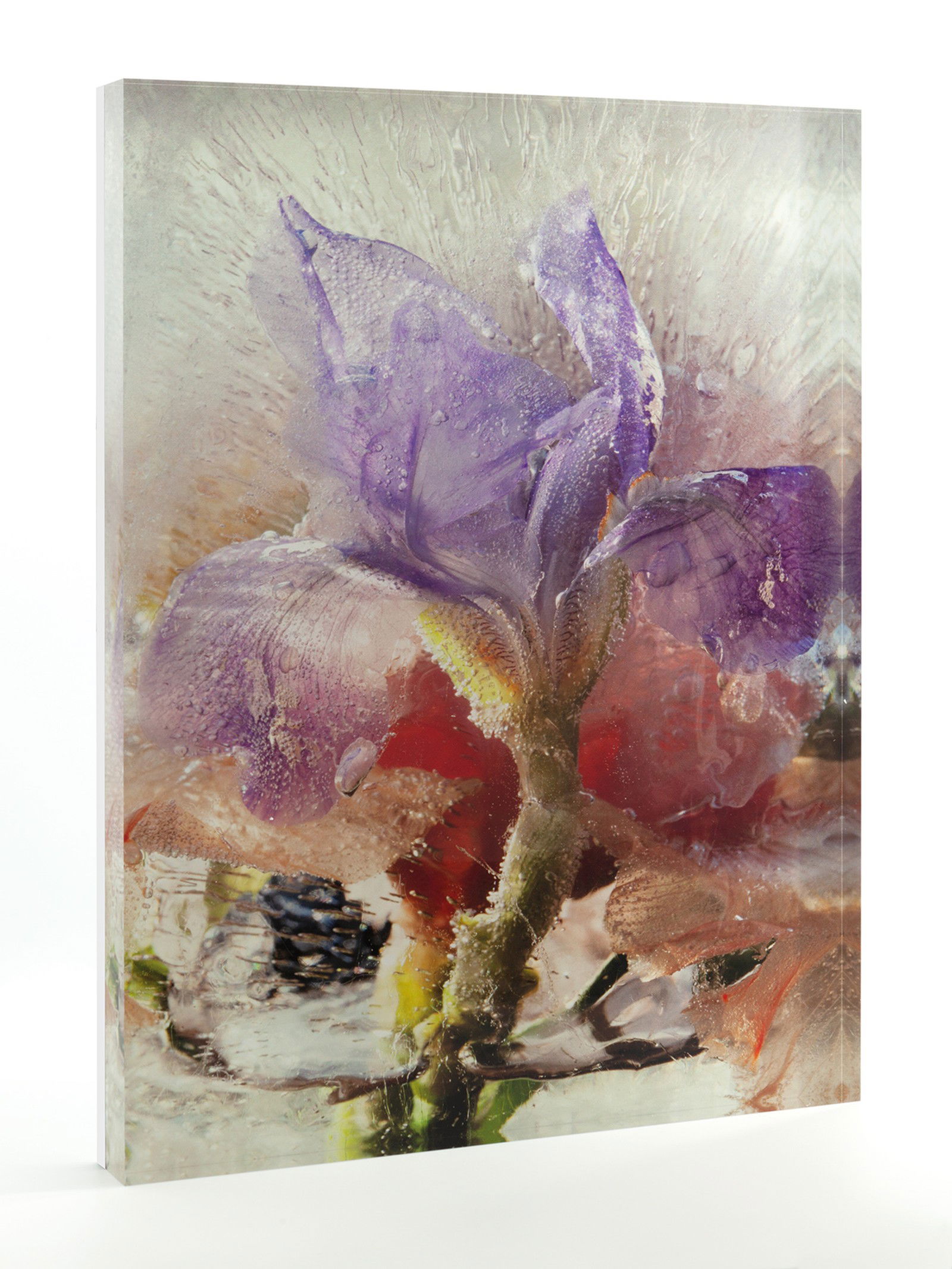 Cosmic Iris by Mary Kocol - Open Edition.