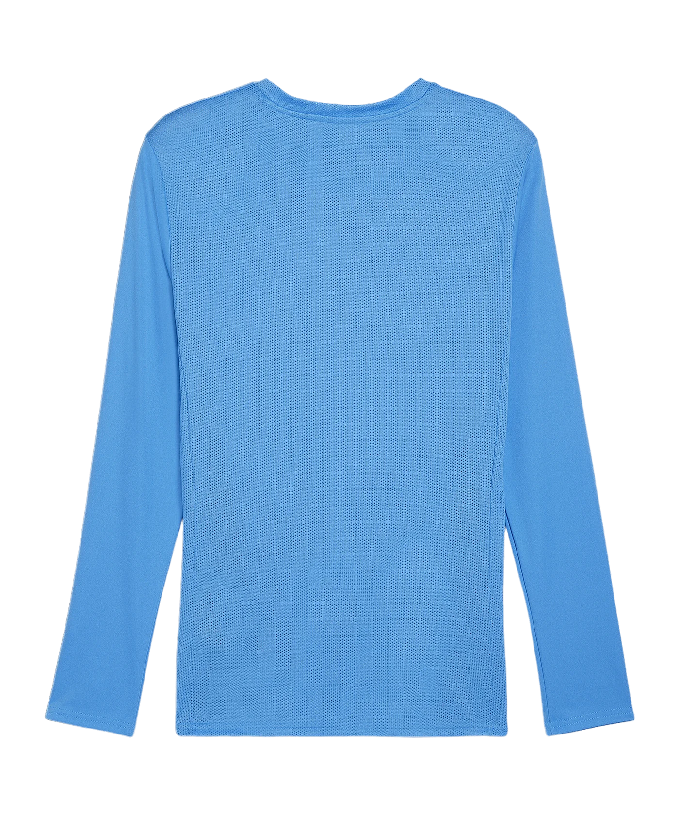 PUMA teamGOAL Trikot Langarm Blau Weiss F02