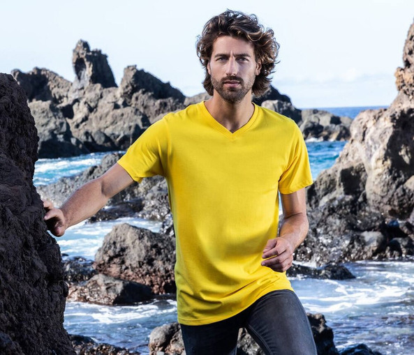 PROMODORO PM3025 - T-shirt Homme Élégant à Col V Promodoro