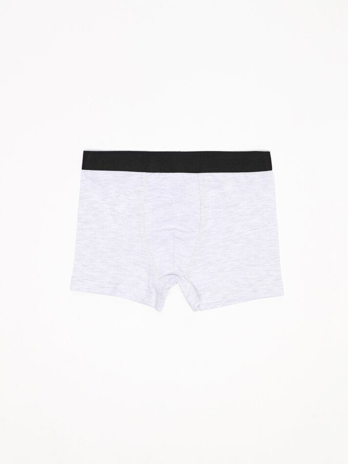 Pacote com 7 cuecas boxer básicas - Cores Variadas