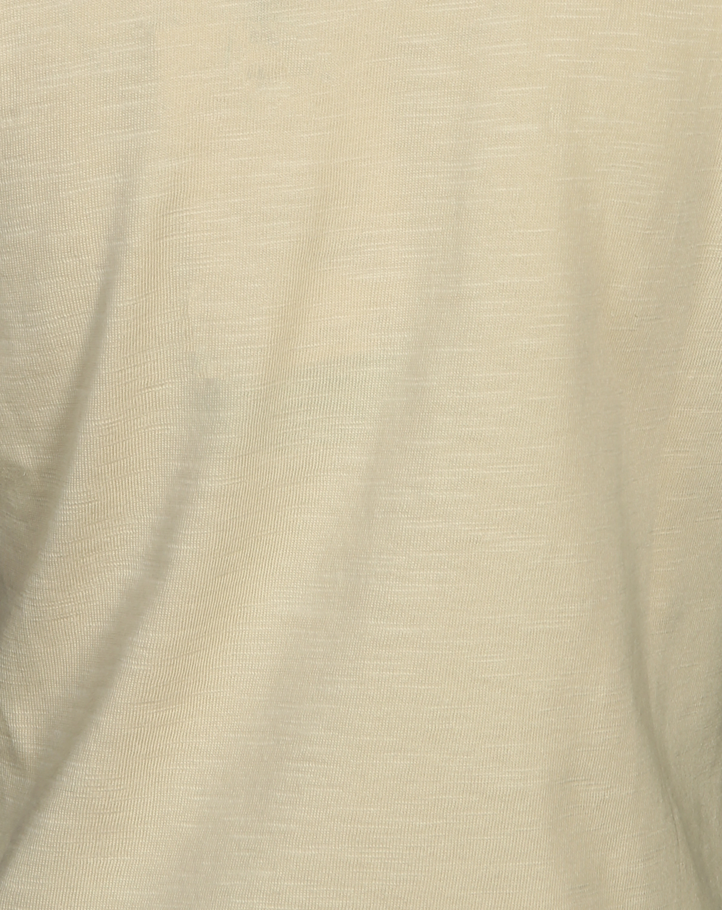 T-Shirt ARWIN UNI in biscotti