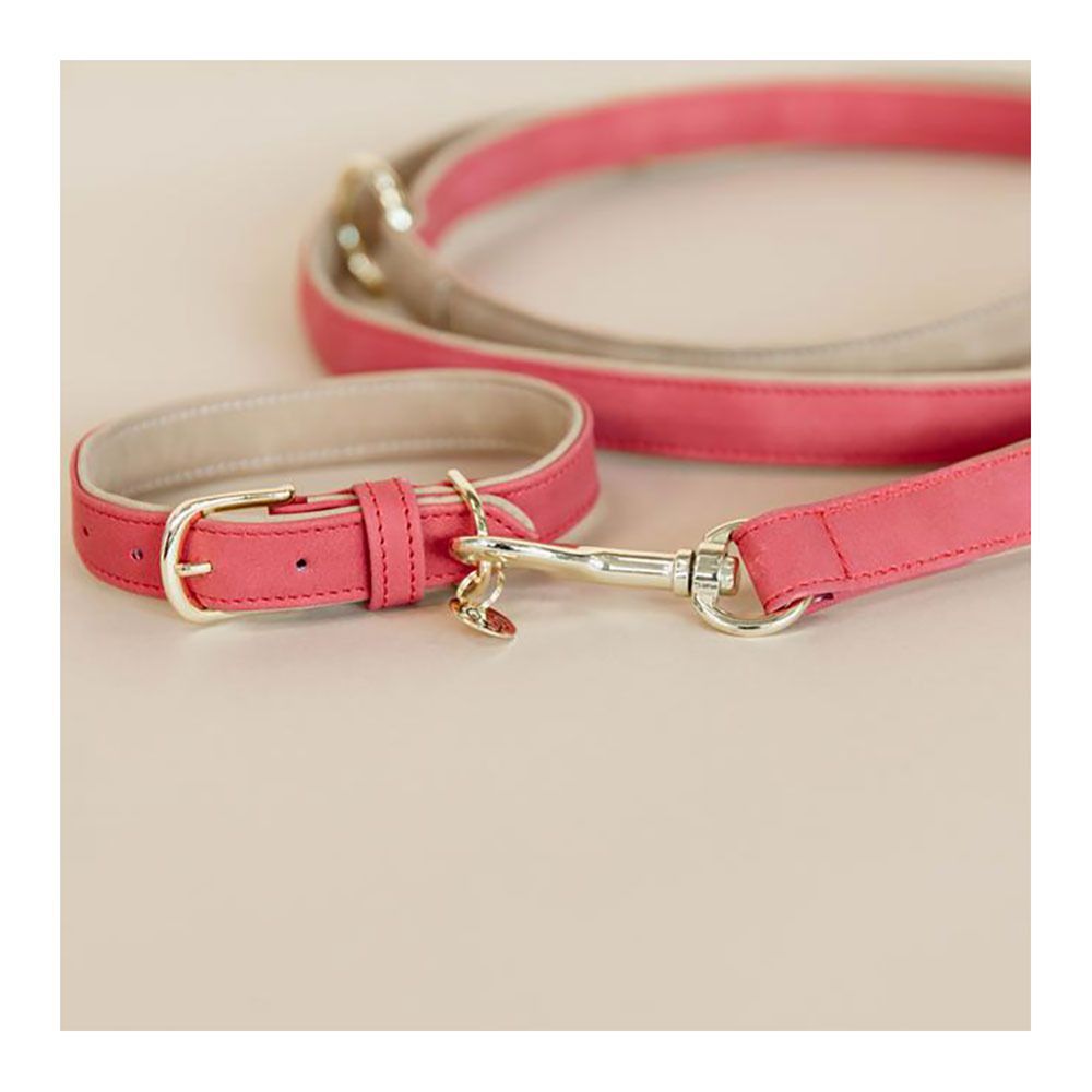 Kentucky CUIR VEGAN -  Collier pour chien red/beige