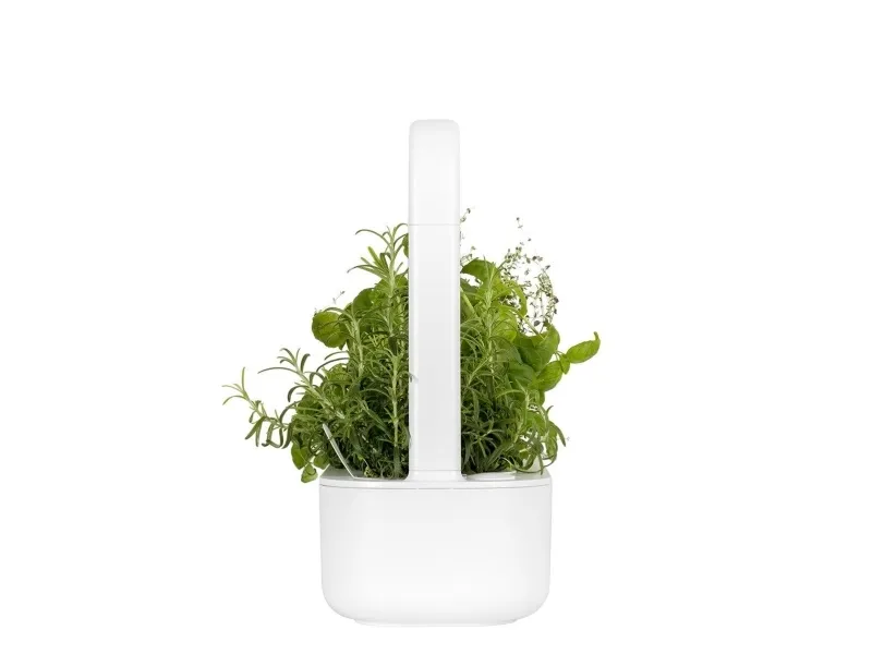 Click & Grow Smart Garden 9, LED, 9 Lampe( r)