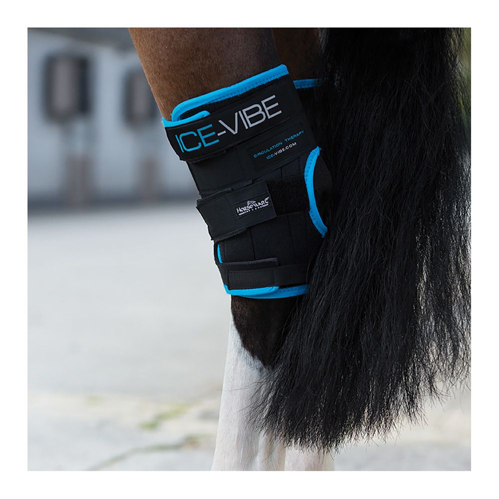 Horseware ICE-VIBE® HOCK WRAP - Protège-jarrets black/aqua