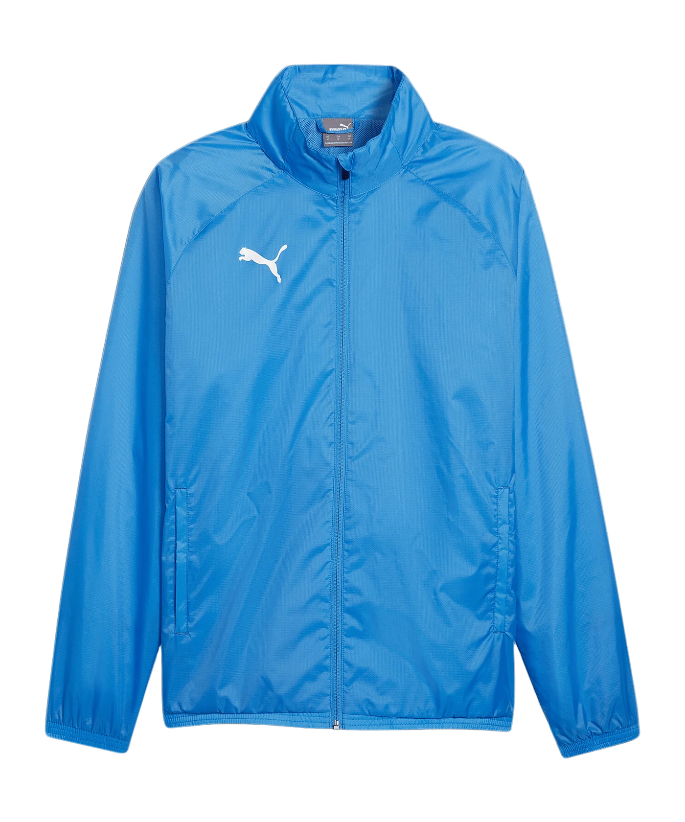 PUMA teamGOAL Allwetterjacke Blau Weiss F02