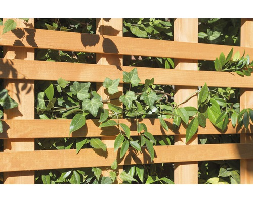 Design trellis Konsta Carré 120 x 160 cm kersenboomlook