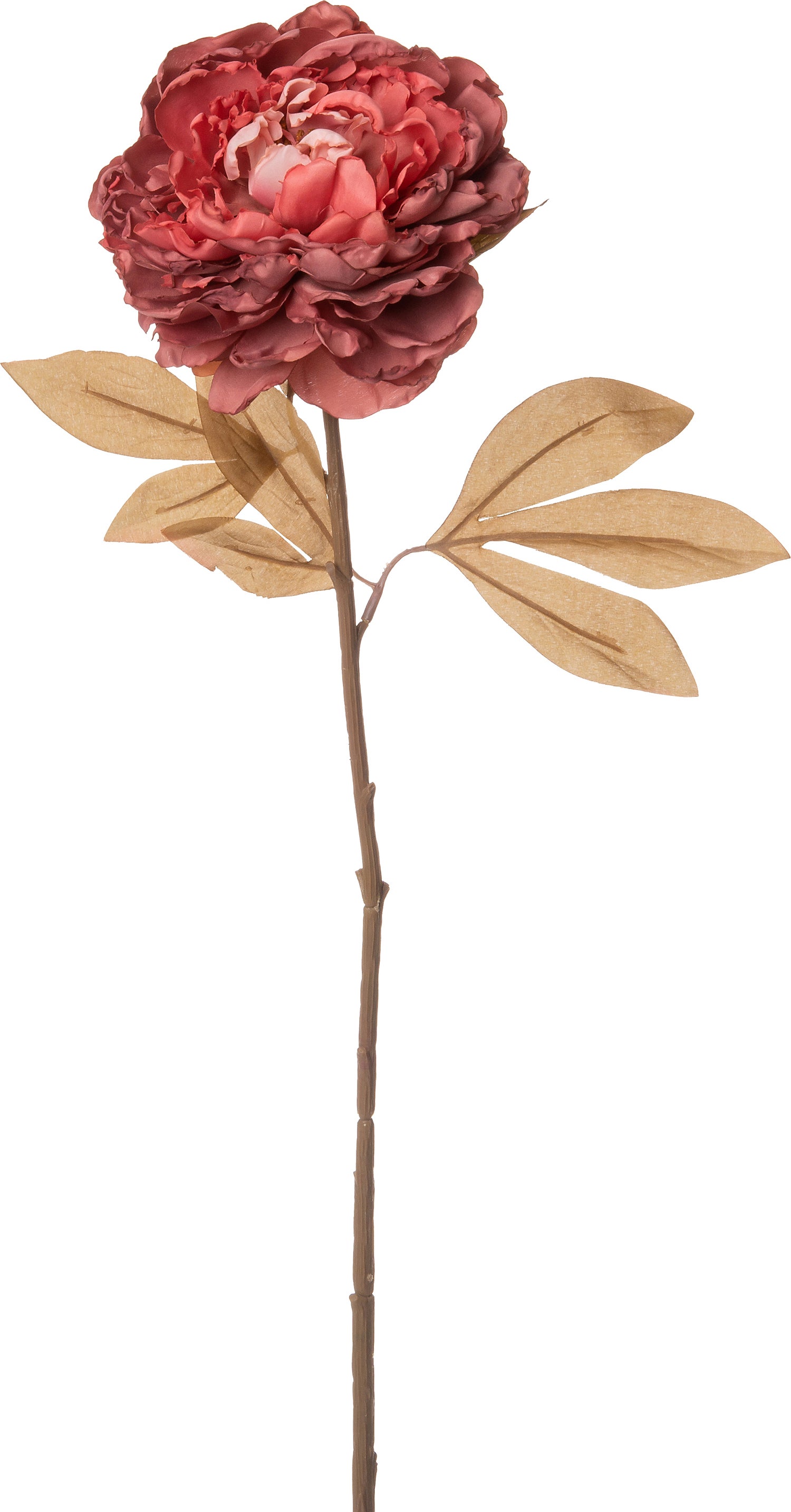 Intratuin kunstbloem Pioen 77 cm paars