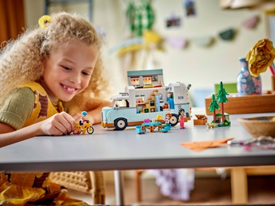LEGO Camperavontuur met vrienden (42663)