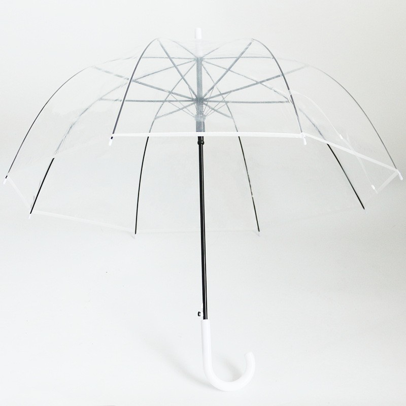 (Ø88cm) Langgriff Regenschirm Fashion Schirm mit automatischer Selbstöffnung - Transparent