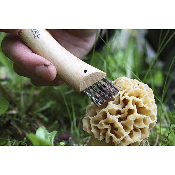 Couteau à champignons pliant N°8 lame inox 8 cm Opinel