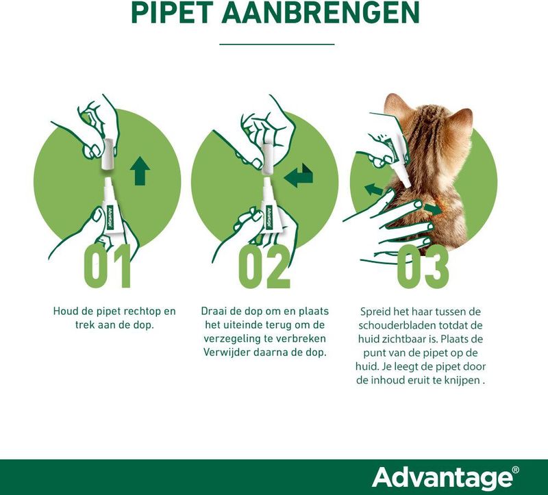 Advantage 100 Hond 4-10 kg - 4 Pipetten à 1,0 ml