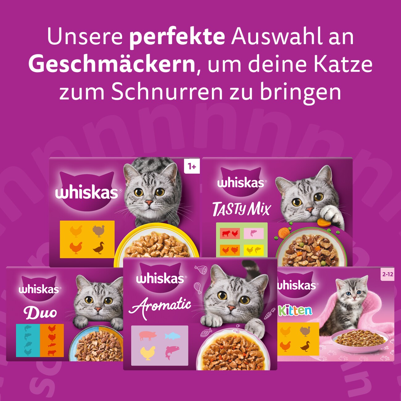 Whiskas ® Multipack Portionsbeutel 1+ Geflügel Auswahl 4 Varietäten Huhn, Ente, Geflügel, Truthahn in Gelee 80 x 85g