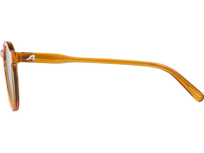 alpina Sonnenbrille Sneek - Burrow Transparent Sonnenbrille Cat.3