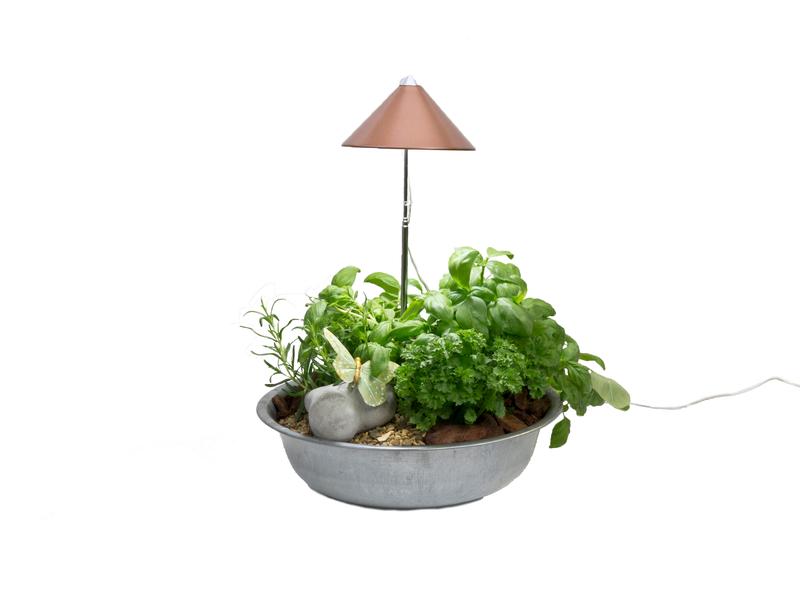 Venso Solutions Pflanzenleuchte SunLite 7 W, Kupfer LED-Pflanzenlampe mit Vollspektrum