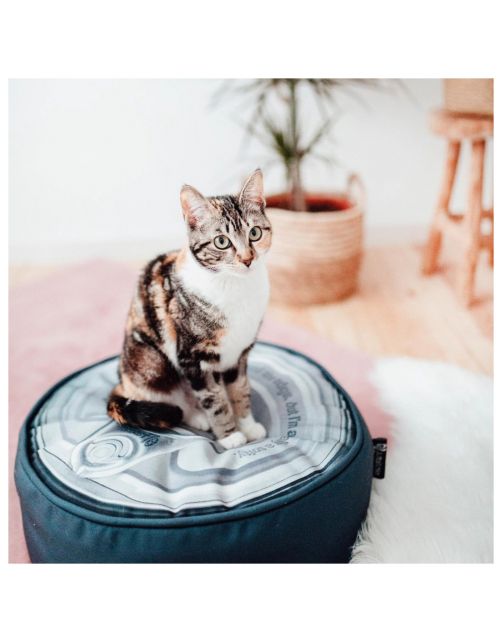 District 70 Tin Pouf Iron - Kattenmand - Ø45x15 cm Grijs