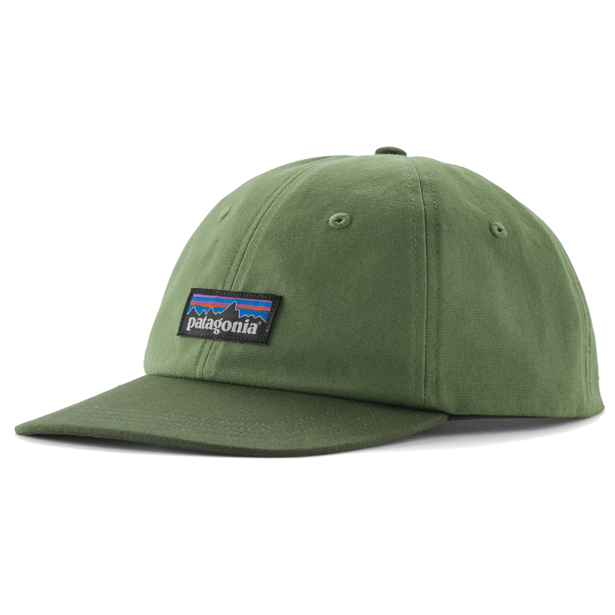 Patagonia<br>P-6 Label Trad Cap