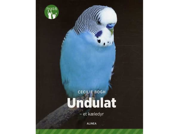 Undulat – et kæledyr, Grøn Fagklub | Cecilie Bogh | Språk: Dansk