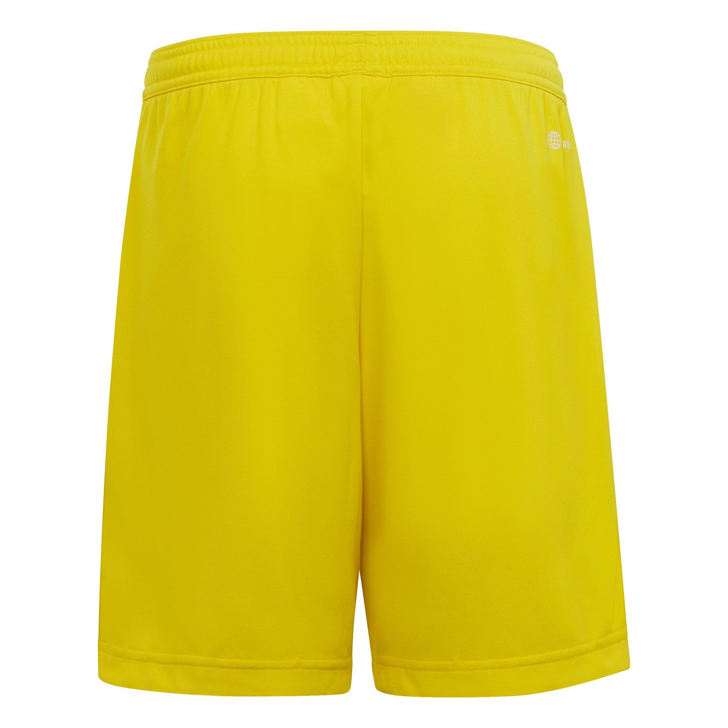 adidas ENT22 Shorts Juniors