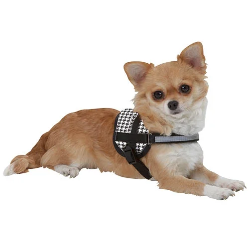 Coleira peitoral para cães, especialmente concebida para raças pequenas, design moderno, tamanho mini, cor mesclada, tamanho P