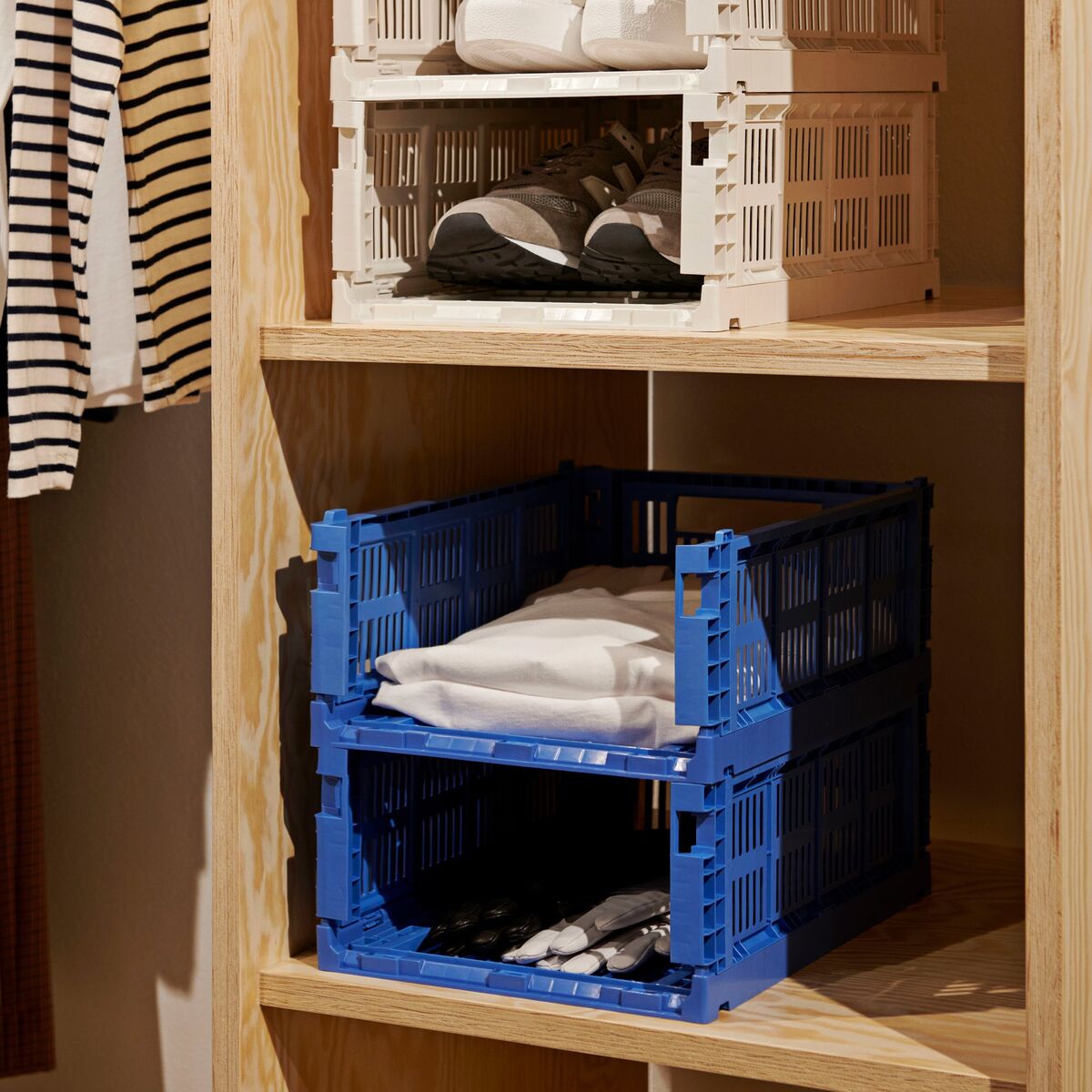 Color Crate oppbevaringsboks medium, electric blue