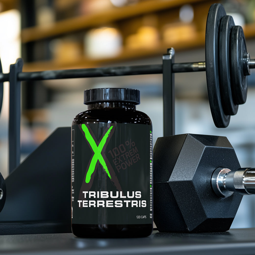 XNATIV Tribulus Terrestris