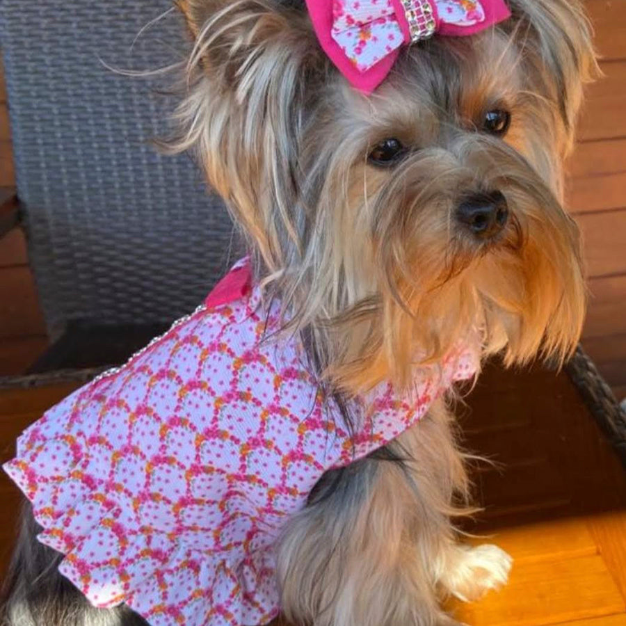Ideal Pets Romance Dog Dress