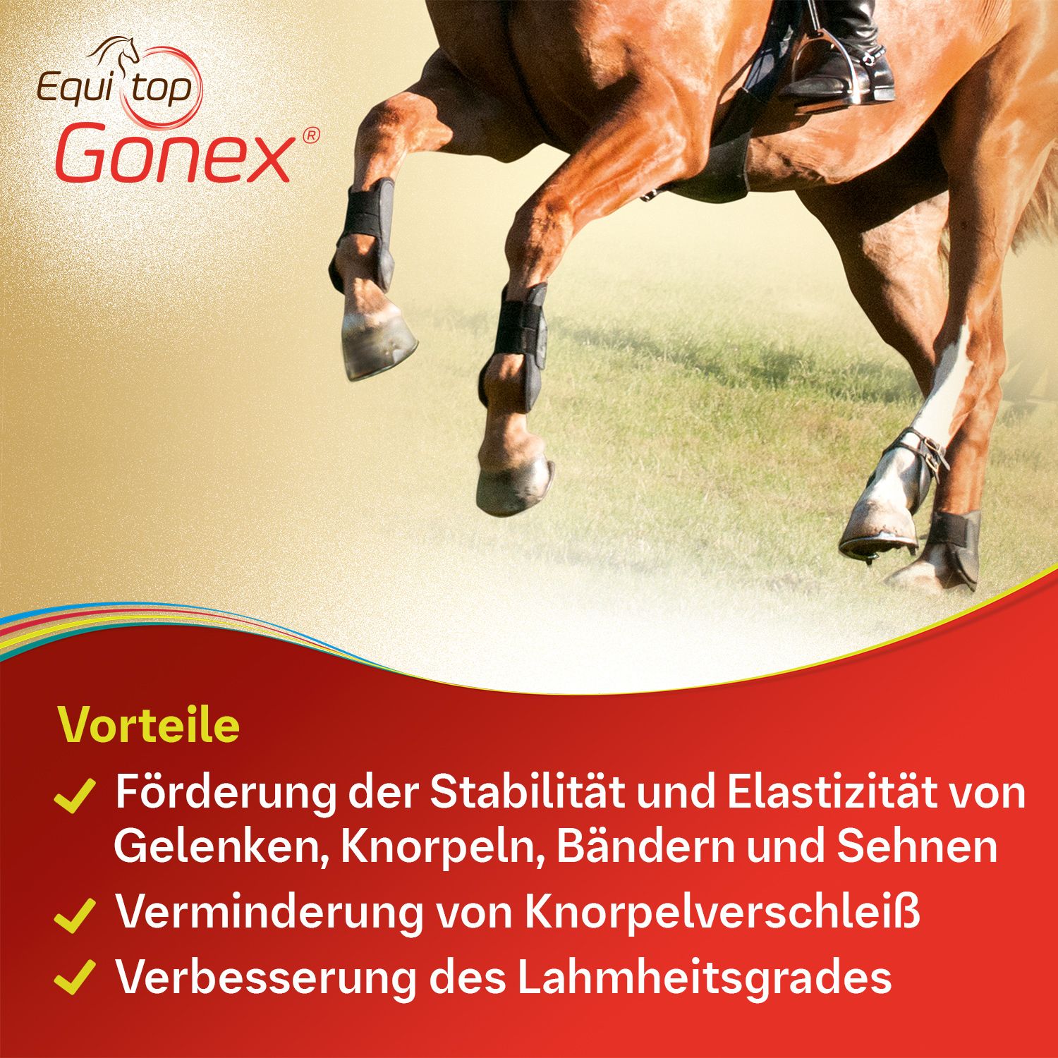 Equitop Gonex
