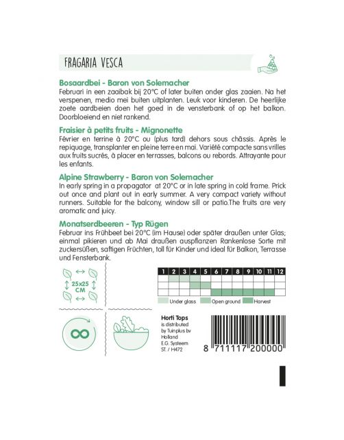 Hortitops Bosaardbei - Baron Von Solemacher - Groentezaden - 250 g
