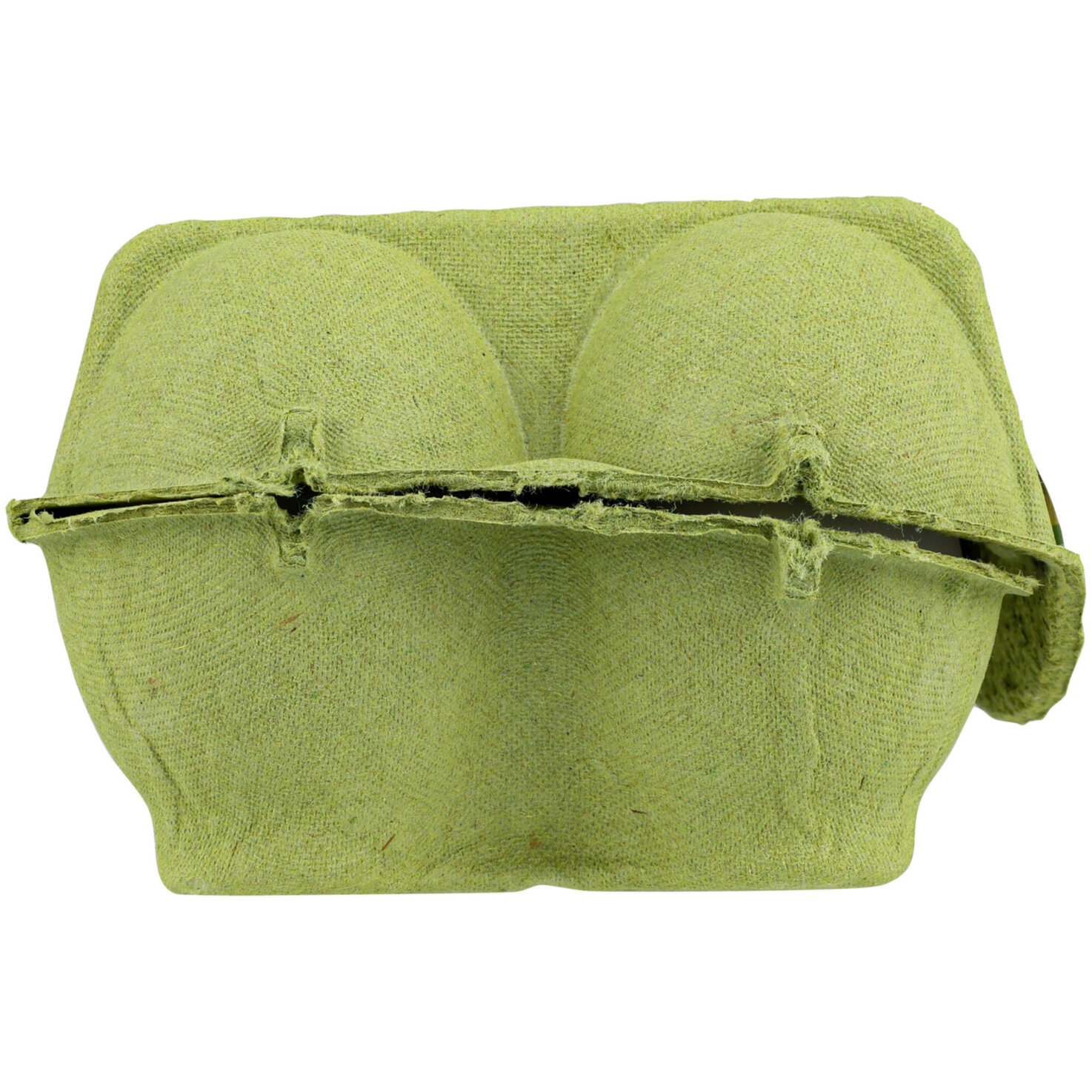 Naturaplan Bio Eier aus Freilandhaltung 60g+ 6 Stück
