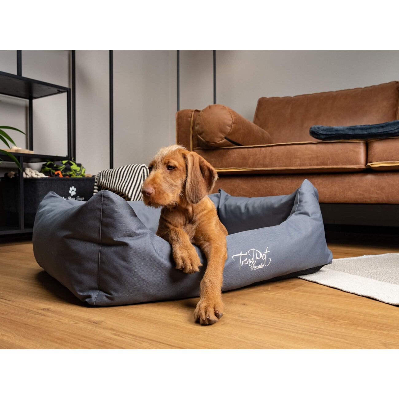 TrendPet Viscado orthopädisches Hundebett grau S