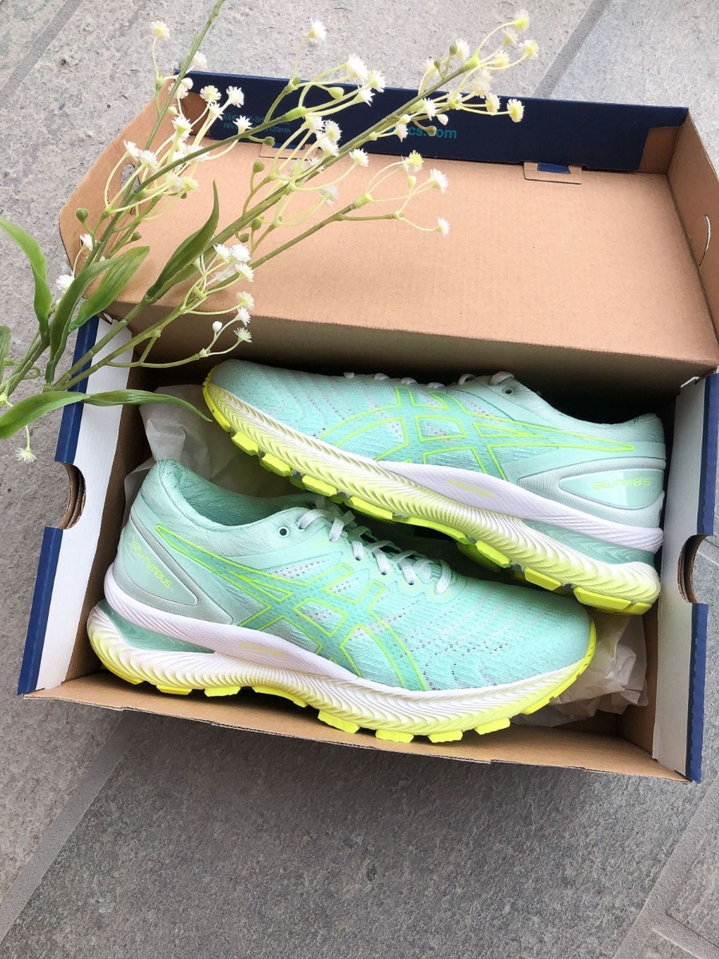 Gel-Nimbus 22