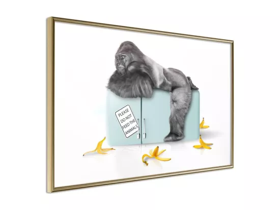 Affiche Murale Encadrée 